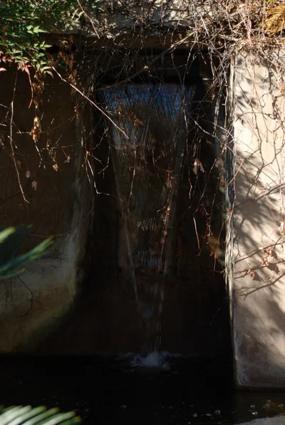 DSC_0082 (Large).JPG